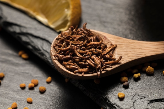 Discover the Astonishing 7 Benefits of the Miraculous Cordyceps Mushroom