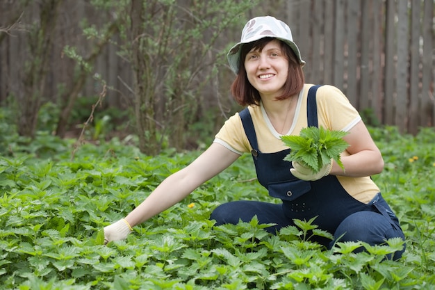 Unlocking the Hidden Treasures of Stinging Nettle