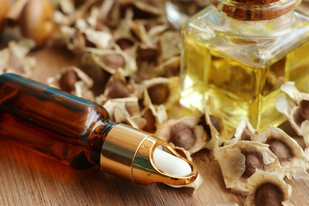 Discover the Timeless Secrets of Castor Oil: Everything You Need to Know About This Ancient Home Remedy